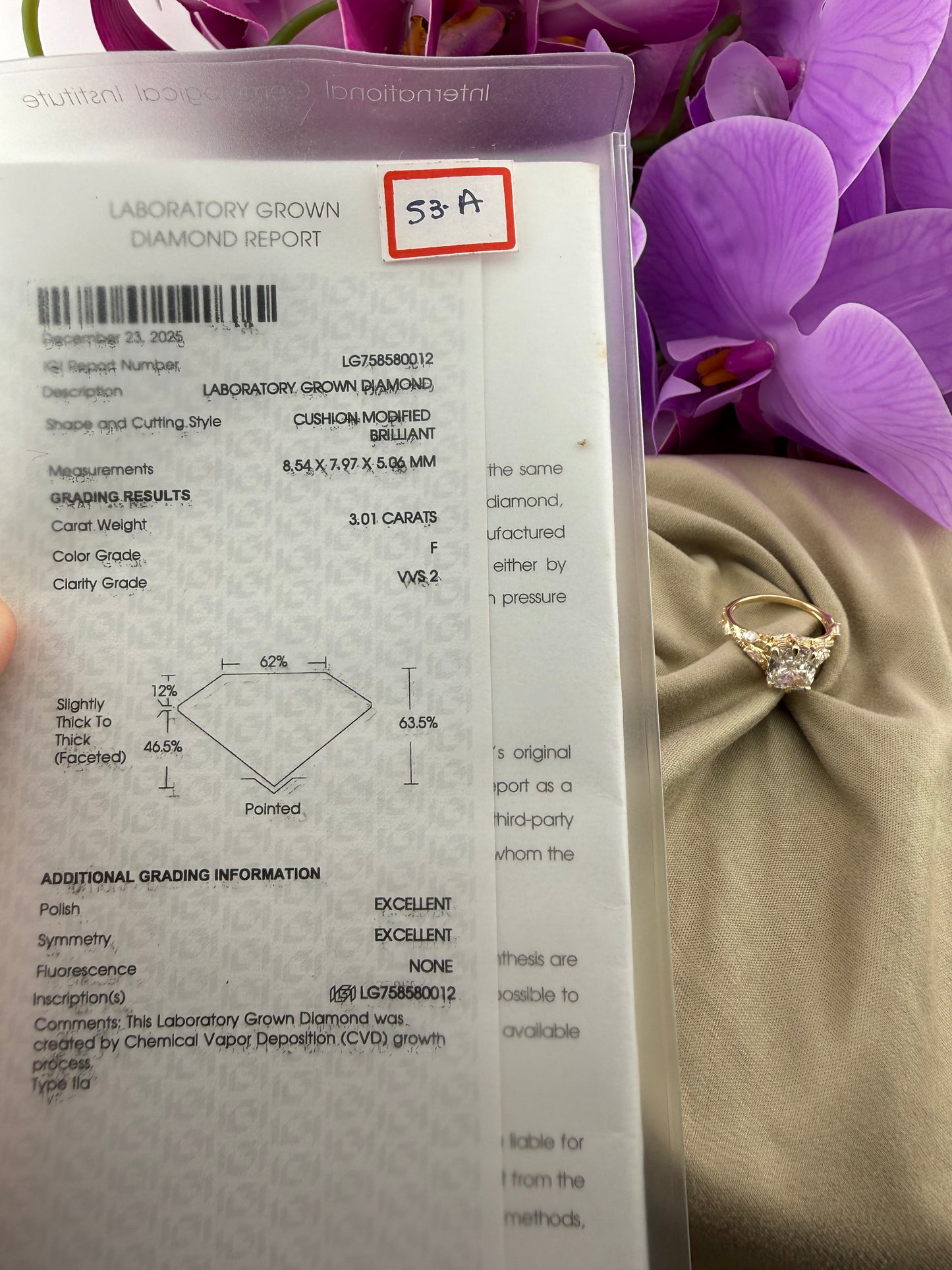 3.01 Cushion Diamond Ring w/ Custom Floral-Inspired Band (F VVS2) - IGI Certified